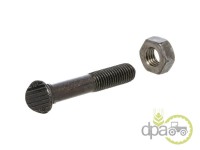 SURUB+PIULITA PLUG M10X60