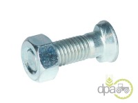 SURUB+PIULITA PLUG M12X40