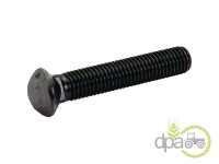 SURUB+PIULITA PLUG M12X70